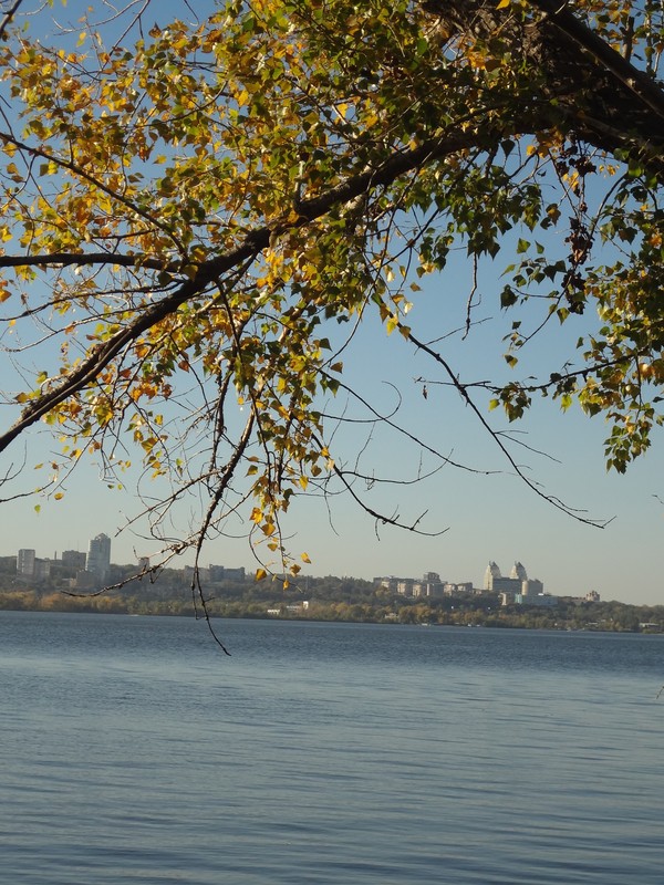  2012    2012   
