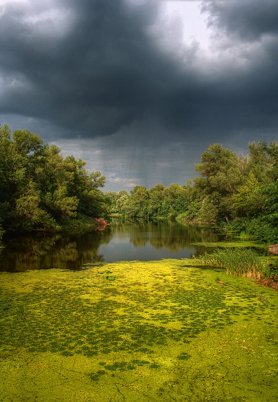    http://i.photographers.com.ua/thumbnails/lenta/177/640x22177.jpg 