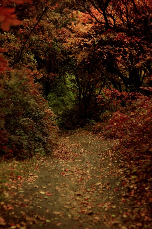 Warm colours  