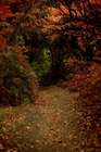 Warm colours