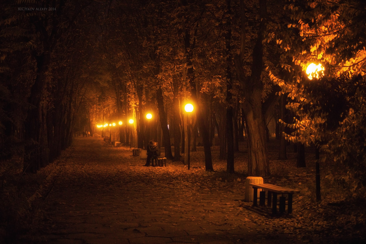 Теплого вечера на улице. Осенний парк вечером. Осень парк ночь. Осень вечер парк. Осенняя ночь в городе.