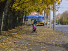 Золота осінь