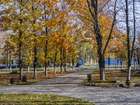 Золота осінь
