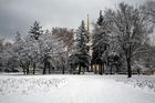 Без назви