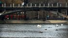Мостик через озеро в парке Глобы
