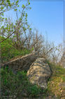 Гранит