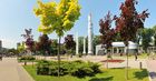 Парк рокет