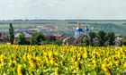 Новоолександрівка