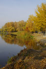 Мелодії осені