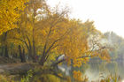 Мелодії осені
