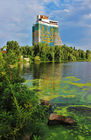 Зелень, зелень