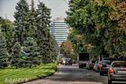Просека.