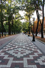 Великі акації проспекту