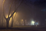 Туман у нічному парку