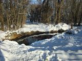Весняна посмішка зими