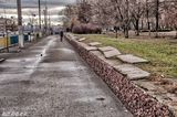 Похмурий сезон
