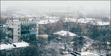 27 грудня