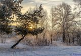 ж.м. Ломовський