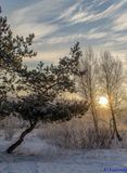 Ж.м. Ломовський