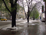 Раптом снiг, раптом снiг, на зеленому листi...
