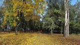 17 миттєвостей осені