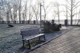 Тиша