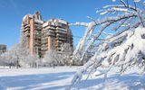Будинок