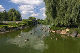 Качина армія