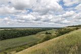 Урочище Лілея. Царичанка :) Урочище Лілея. Царичанка :)