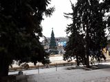 Ялинки