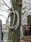 Фаза есть? А если найду?