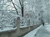Снігопад, Снігопад