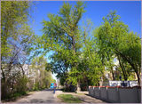 Травень