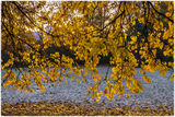 Осінь