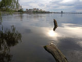 Перед грозою