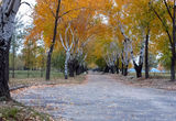 Осінь
