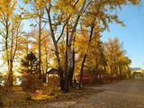 Осень золотая