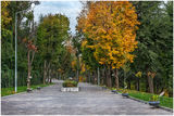 Парк Зелений Гай
