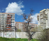 ВЕСНА