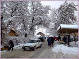 Грудень
