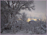 Ранок