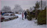 Грудень