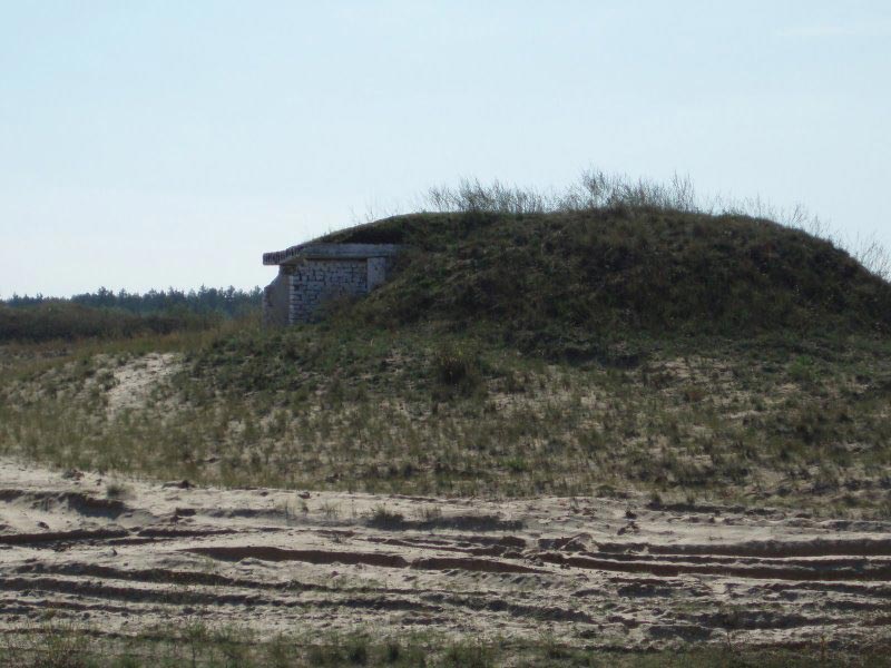   2008        
