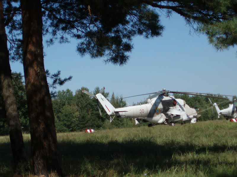  .      2008        