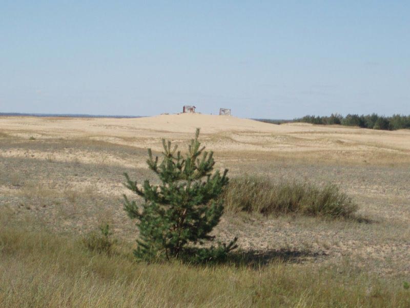   2008        