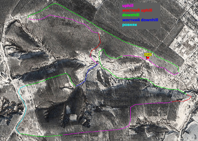 : XCM   2009 v6
