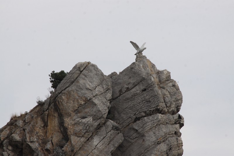  Red Bull Cliff Diving 2011.  