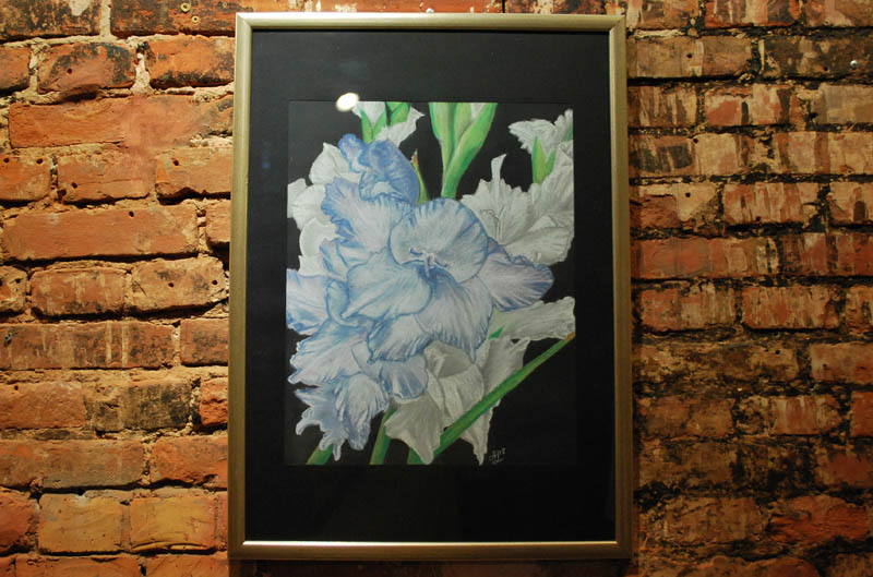  Gladiolus   TELEGA