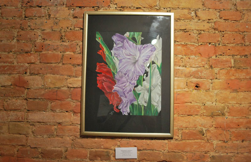  Gladiolus   TELEGA