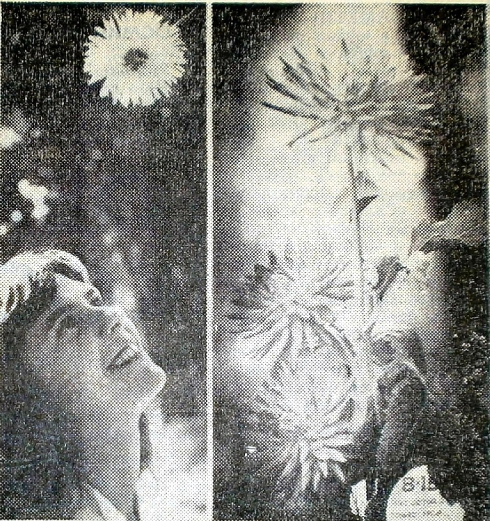     .    1982 .       